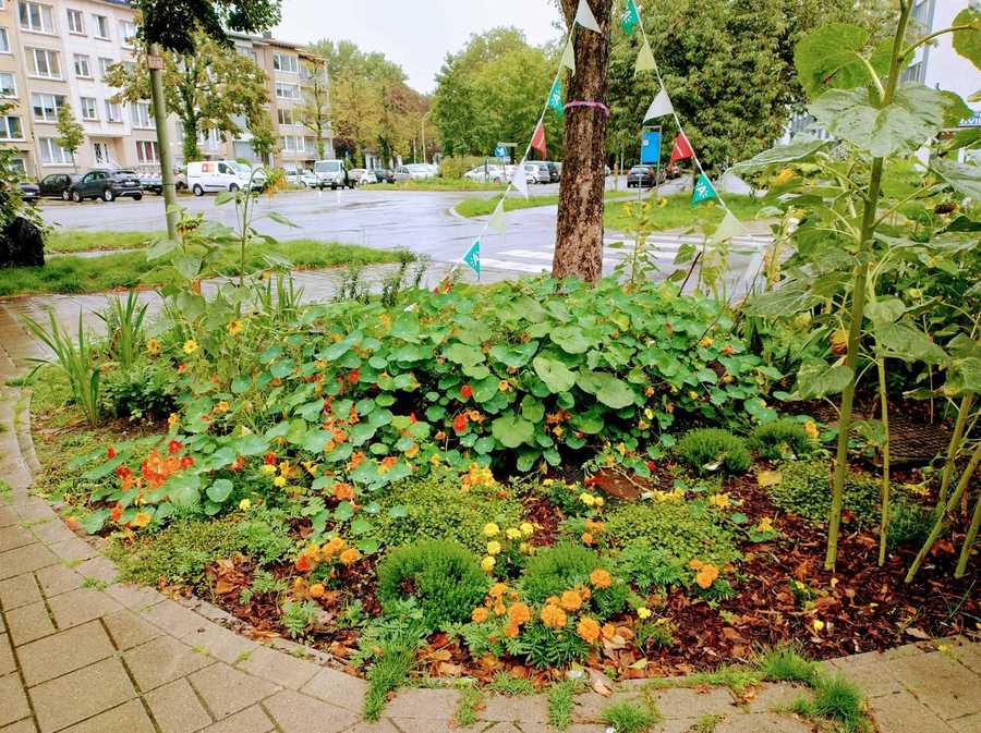 Foto van buurtplantsoen